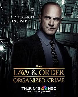 法律与秩序：组织犯罪 第四季2