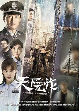 天下无诈第1-20集